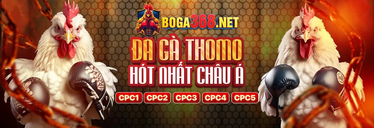 Ưu đãi chào mừng thành viên mới T88